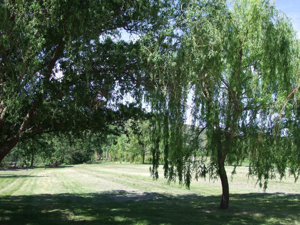 La Magnanerie d'Hôtes Sauve Esterno foto